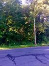 Oak Lane photo